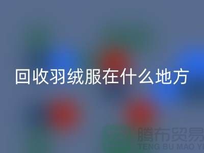 ### 高价FH官方网页版羽绒服在什么地方—诚信可靠合作,上海腾布贸易