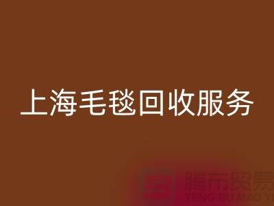 **什么类型的毛毯可以FH官方网页版?**上海毛毯FH官方网页版服务热线