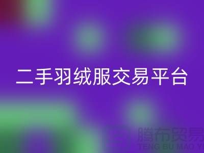波司登羽绒服FH官方网页版平台,二手羽绒服环保与时尚的完美结合