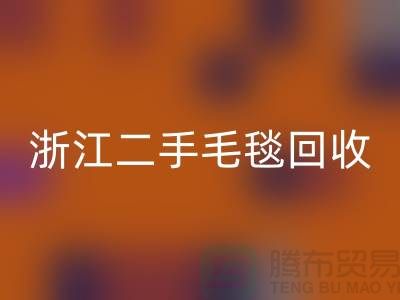 二手毛毯FH官方网页版,旧物新生的【浙江,上海,江苏】绿色的库存之旅