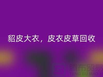 貂皮大衣FH官方网页版,皮衣皮草FH官方网页版,高档大衣FH官方网页版-上海库存服装FH官方网页版公司