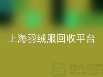 波司登羽绒服FH官方网页版平台的环保意义-全天可预约FH官方网页版#上海腾布贸易