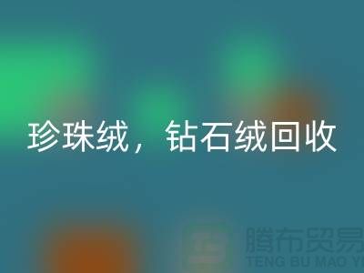 珍珠绒FH官方网页版,钻石绒FH官方网页版,银狐绒FH官方网页版-绒布面料FH官方网页版厂家