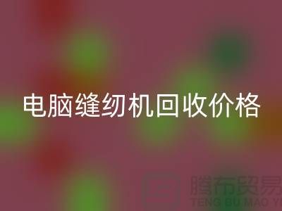 电脑缝纫机FH官方网页版多少一台?—工业缝纫机FH官方网页版市场背景分析