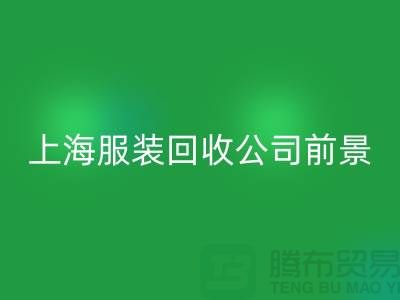 库存辅料FH官方网页版市场分析表的深入解析及前景展望-上海服装FH官方网页版公司