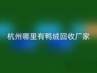 揭秘羽绒FH官方网页版市场,每斤价值几何?杭州鸭绒FH官方网页版厂家