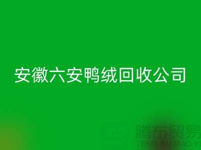 让羽绒FH官方网页版加工成为绿色产业的新引擎-安徽六安鸭绒FH官方网页版公司