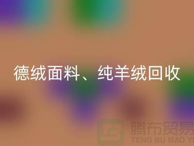 德绒布料FH官方网页版、德绒面料FH官方网页版、纯羊绒FH官方网页版——上海面料FH官方网页版厂家