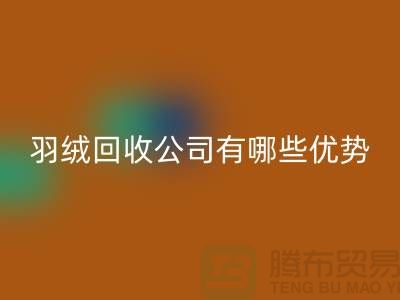 ### 上海羽绒FH官方网页版公司优势解析:价格公道,服务优质