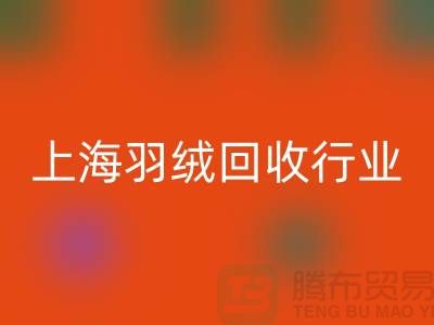 #### 上海羽绒FH官方网页版厂家推动行业发展,展望未来,创新发展