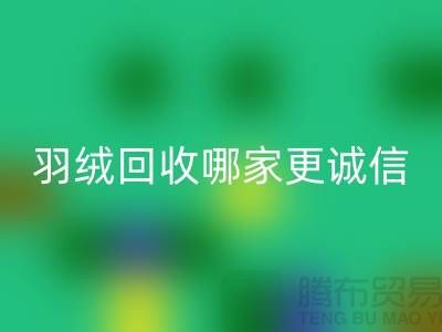 ### 揭秘上海羽绒FH官方网页版厂家:哪家更诚信?腾布贸易ShtengHu.com