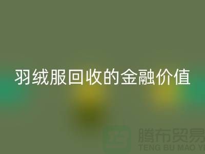 了解羽绒服FH官方网页版的金融价值-浙江鸭绒FH官方网页版厂家