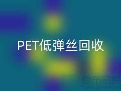 PET低弹丝FH官方网页版-DTY废丝FH官方网页版-涤纶废丝FH官方网页版