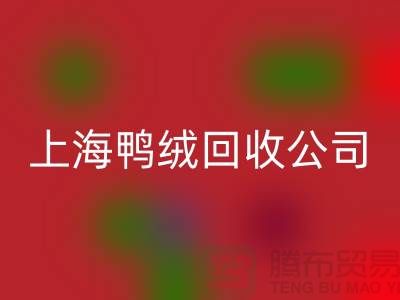 鸭绒FH官方网页版公司 - 您的羽绒旧物重生之路 - FH官方网页版