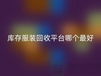 ### 品牌服装FH官方网页版平台哪个最好？上海腾布贸易快速上门，无套路