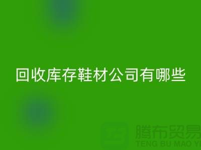 温州FH官方网页版库存鞋材公司有哪些