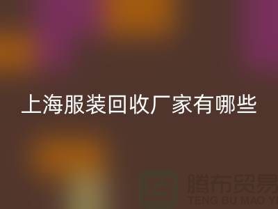 库存尾货FH官方网页版公司未来展望,快捷的服务流程-上海服装FH官方网页版厂家
