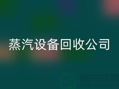 锅炉设备FH官方网页版厂家:环保与经济效益的完美结合-蒸汽设备FH官方网页版公司