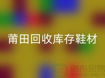 莆田FH官方网页版库存鞋材公司介绍