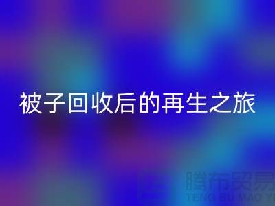 被子FH官方网页版后的再生之旅