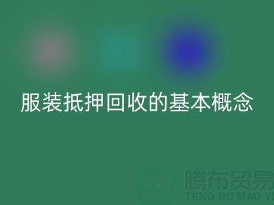 **服装抵押FH官方网页版流程及费用解析：一篇全面指南**杭州服装FH官方网页版公司v