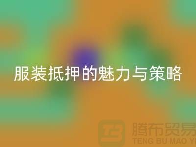解锁衣橱新财富：服装抵押的魅力与策略——上海服装FH官方网页版公司