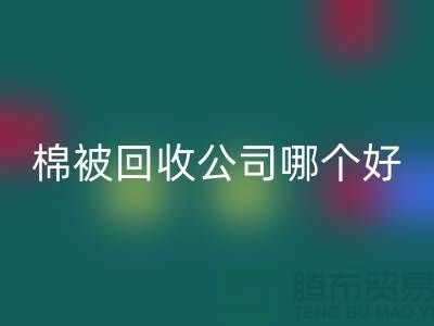 杭州棉被FH官方网页版公司哪个好-浙江杭州面料FH官方网页版市场详解