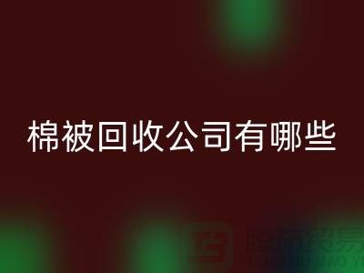 棉被FH官方网页版公司有哪些—浙江库存面料FH官方网页版厂家:环保与经济的双重助力