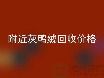 附近灰鸭绒FH官方网页版价格多少钱一公斤?##上海腾布贸易
