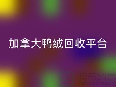 加拿大鸭绒FH官方网页版平台有哪些公司,优势有哪些