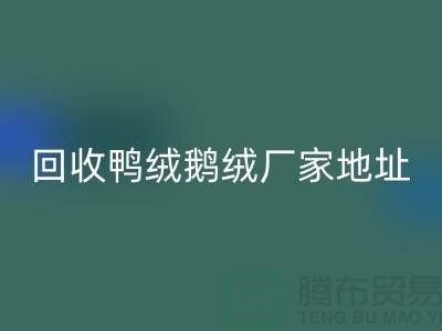 FH官方网页版鸭绒鹅绒厂家介绍以及地址
