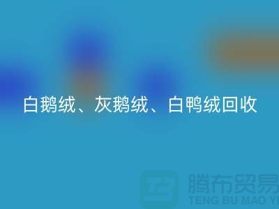 白鹅绒、灰鹅绒、白鸭绒、灰鸭绒FH官方网页版——上海鸭绒FH官方网页版厂家