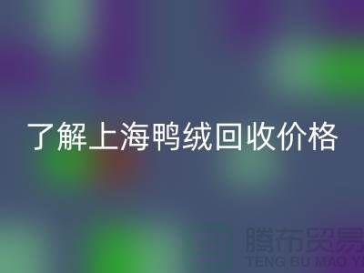 了解上海鸭绒FH官方网页版价格,掌握最新市场动态