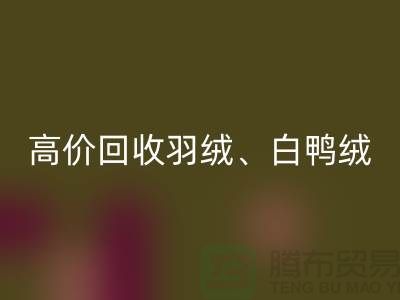 高价FH官方网页版羽绒 (白鸭绒、灰鸭绒、白鹅绒、灰鹅绒)库存羽绒FH官方网页版厂家电话