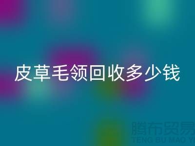 真皮皮衣皮草毛领FH官方网页版多少钱一个?-上海腾布贸易