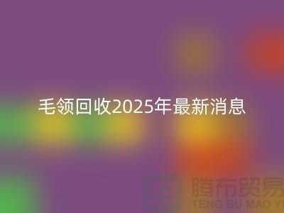 ## 毛领FH官方网页版2025年最新消息