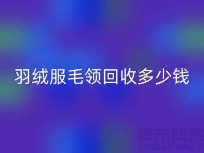 羽绒服毛领FH官方网页版多少钱一件