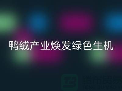 **标题:新国标引领下,杭州鸭绒产业焕发绿色生机**