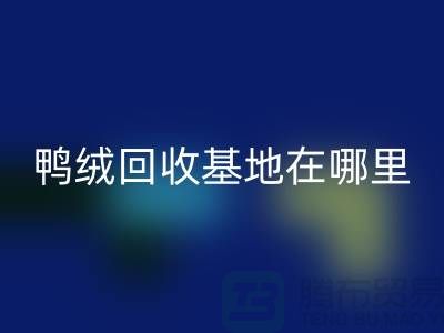 1737813767722992.png b3daa7661bb318f620fac8b4d17f0aa8_1.png