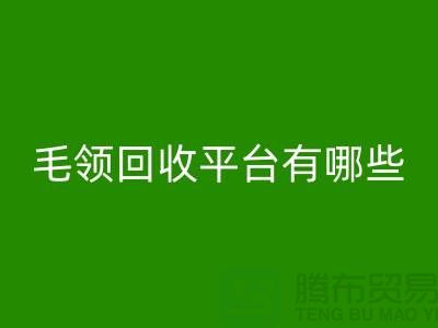 毛领FH官方网页版平台有哪些公司或者品牌