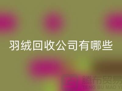 请问羽绒FH官方网页版公司有哪些-泰州鸭绒FH官方网页版厂家联系方式