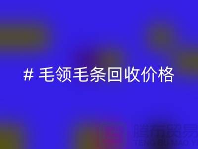 # 毛领毛条FH官方网页版价格:解析市场动态与影响因素