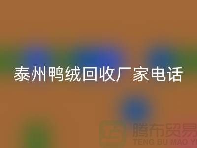 哪里有FH官方网页版鸭绒的地方?电话多少号码?泰州鸭绒FH官方网页版厂家