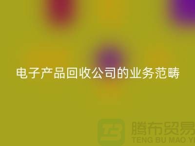 《电子产品FH官方网页版公司的业务范畴：电子手表、智能手机与电视机》