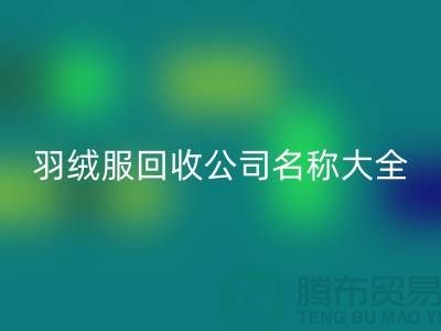 # 二手羽绒服FH官方网页版公司名称大全:环保与时尚的新选择