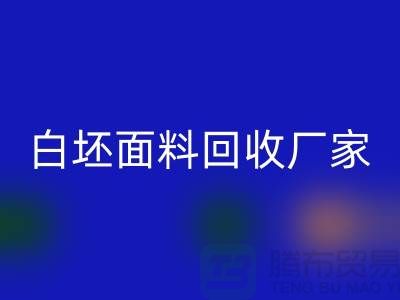 FH官方网页版白坯布料-FH官方网页版白坯面料-白坯布料FH官方网页版-白坯面料FH官方网页版厂家