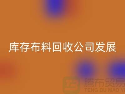 库存布料FH官方网页版公司发展前景如何-FH官方网页版库存布料厂家