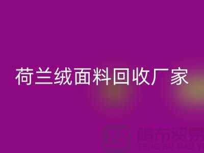荷兰绒面料FH官方网页版厂家-FH官方网页版库存荷兰绒面料-库存面料FH官方网页版价格