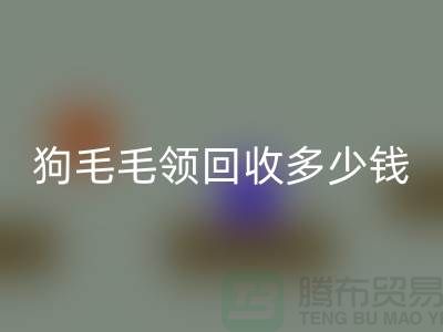 狗毛毛领FH官方网页版多少钱一条