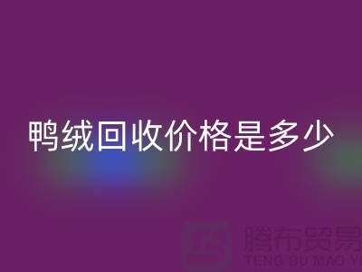 鸭绒FH官方网页版价格是多少?详解鸭绒市场行情-鸭绒专业FH官方网页版厂家